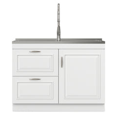 Darwin All-In-One 46-inch Laundry Utility Sink and Cabinet