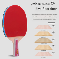 DOUBLE FISH Table Tennis Racket Set, With One Racket Two Balls Suitable For Beginner Training