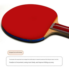 DOUBLE FISH Table Tennis Racket Set, With One Racket Two Balls Suitable For Beginner Training