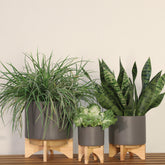 8" PLANTER W/ WOOD STAND, MATTE GRAY