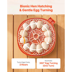 12 Egg Incubator, Automatic Egg Turner with LED Candler, Temperature & Humidity Control, 360° View Clear Window, Poultry Eggs Incubator for Home Farm, Hatching Chicks Ducks Goose Quail