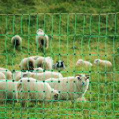Electric Fence Netting, 42" H x 164' L, PE Net Fencing with Posts & Double-Spiked Stakes, Utility Portable Mesh for Goats, Sheep, Lambs, Deer, Hogs, Dogs, Used in Backyards, Farms, and Ranches
