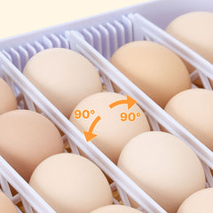 48 Egg Incubator, Automatic Egg Turner with LED Candler, Temperature Display & Auto Humidity Control, 360° View Clear Window, Poultry Eggs Incubator for Hatching Chicks Ducks Goose Quail