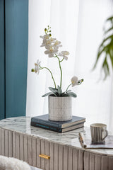 D6.3x6.3" Ceramic Planter