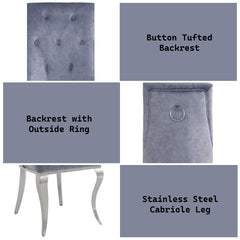 Dekel Gray Fabric & Stainless Steel Side Chair (Set of 2)