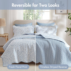 3-Piece Full/Queen Print Quilt Set