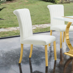 Contemporary Style 2pc Side Chair Channel Tufted Back Seat Stainless Steel O-Shaped Legs With Trestle Base Gold And White Finish