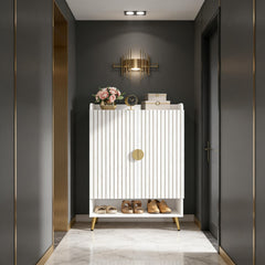 Spacious Shoe Storage Organizer,Modern Style Shoe Cabinet
