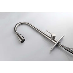 Single Handle Stainless Steel Kitchen Sink Faucet with Pull Down Sprayer