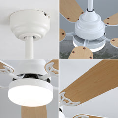 Indoor Modern 52 Inch Ceiling Fan 6 Speed Wind 5 Blades Remote Control Reversible DC Motor With Led Light