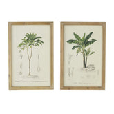 S/2 Tree Framed Print, 15.5x23.5"