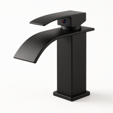 Single Handle Bathroom Faucet Lavatory Faucet Stainless Steel Single Hole-TP, Matte Black