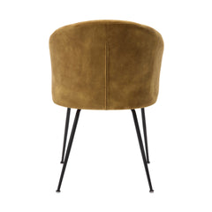 Mustard Color Velvet Fabric Upholstery Side Chairs 2pc Set Black Metal Legs Modern Home Furniture