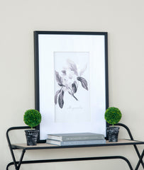 S/2 D4x9.5" Mini Faux Topiaries in Black Pot