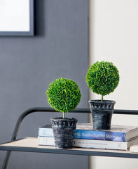 S/2 D4x9.5" Mini Faux Topiaries in Black Pot