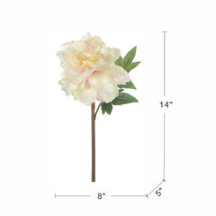 Almost Real 14" Peony - White with Pink, 4 Pack