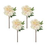 Almost Real 14" Peony - White with Pink, 4 Pack