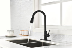 Kitchen Faucet with Pull Out Spraye