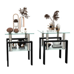 Set of 2, Modern Tempered Glass Tea Table Coffee Table End Table, Square Table for Living Room, Transparent/Black