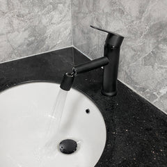 Single Handle Bathroom Sink Faucet with Pop-Up Drain (with Overflow)