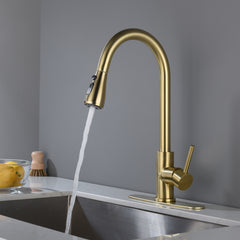 Single Handle Stainless Steel Kitchen Sink Faucet with Pull Down Sprayer