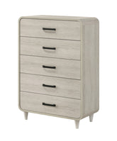1pc Contemporary White Finish Ample Drawer Space Five Drawers Tall Chest Storage Wooden Furniture Antique White Color