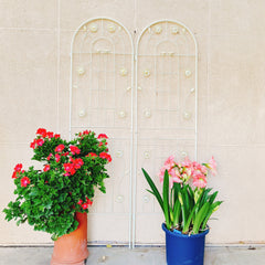 2 Pack Metal Garden Trellis 71" x 19.7" Rustproof Trellis for Climbing Plants Outdoor Flower Support Cream White