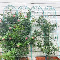 4 Pack Metal Garden Trellis 86.7" x 19.7" Rustproof Trellis for Climbing Plants Outdoor Flower Support Green