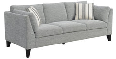 Gray Sofa