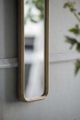 47" x 8" Full Length Mirror with Antique Gold Metal Frame, Long Mirror for Hallway Living Room Bedroom Bathroom