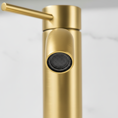 Single Handle Bathroom Faucet Lavatory Faucet Stainless Steel Single Hole-T10, Brushed Gold