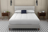 Queen Upholstered Bed With 2 Nightstands