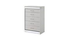 Glam Modern Style 5-Drawer Chest Made with Wood in White same asG150108641 (NJ Inventory)