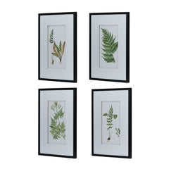 Set of 4 Botanical Black And White Fern Wall Art , Wall Decor for Living Room Dining Room Entryway, 20" x 28"