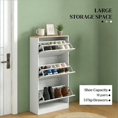 Small Storage Cabinet,Shoe Storage Cabinet,Hidden Shoe Storage Cabinet