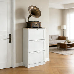 Small Storage Cabinet,Shoe Storage Cabinet,Hidden Shoe Storage Cabinet