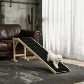 Convenient Pet Ramp,Dog Ramp Ramp for Your Home
