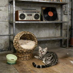 Basket Bed Kitty House,Elevated Cat Bed