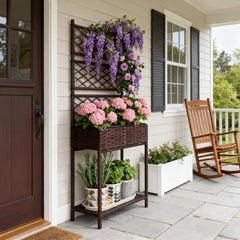 Freestanding Rattan Garden Box,Outdoor Wicker Planter with Trellis for Climbing Plants,with Storage Shelf