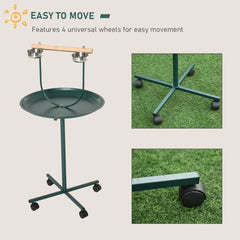Bird Training Activity Playground With