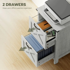 Farmhouse Office Storage Cabinet File Cabinet with 2 Drawers