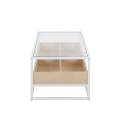 Display Contemporary Coffee Table in White Metal, Natural Wood, and Clear Glass by LumiSource