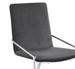 Zlatan Gray Velvet & Chrome Finish Side Chair (Set of 2)