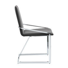 Zlatan Gray Velvet & Chrome Finish Side Chair (Set of 2)