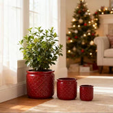 Handmade Ceramic Planter Set of 3, 15/12/9 Inch Diameter, Burgundy Diamond-Pattern, for Orchids & Indoor Plants, Windowsill & Bookshelf Use, Breathable Clay