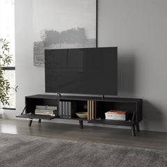 Wengue TV Stand with 2 Doors and Open Storage