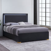 Jeremiah Black Wood Queen LED Panel Bed