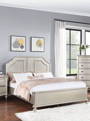 Traditional Style Queen Size Bed 1pc Two Panel Bed Silver Finish Bedroom Furniture