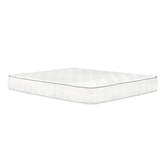 9 in. Queen Size Pocket Coil Spring Mattress in a Box, Pressure Relief Low Motion Tranfer Technology, White