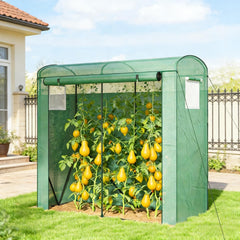 Stable Greenhouse,Mini Greenhouse